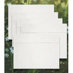 Set de 5 enveloppes plantable C5 220x155  mm