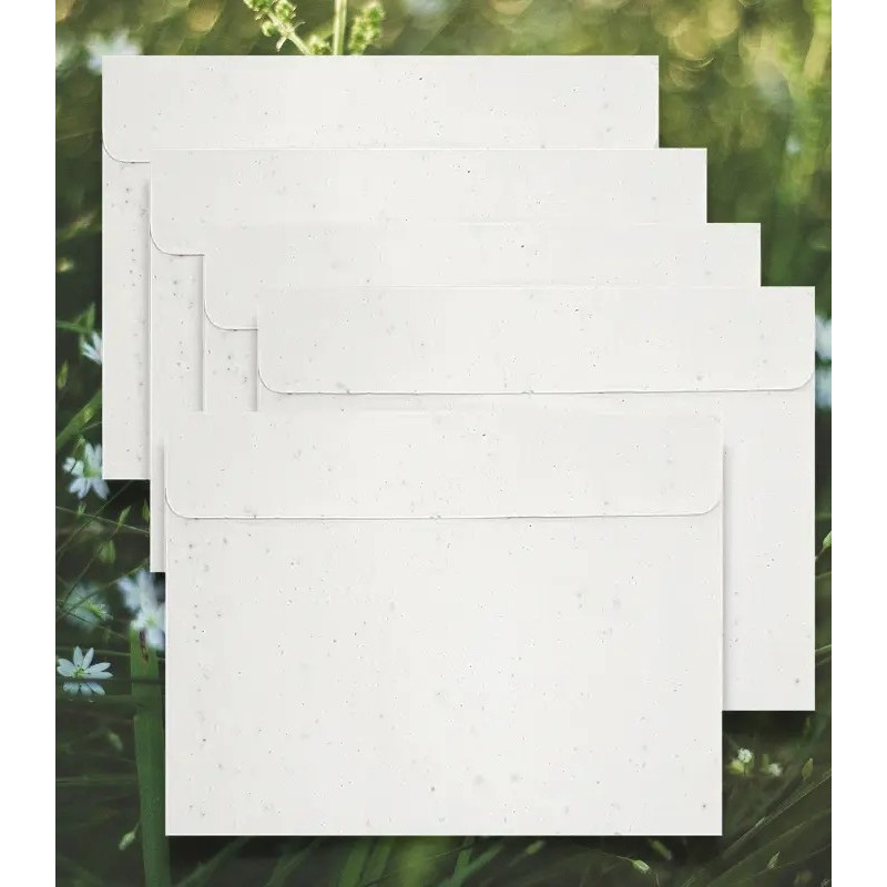 Set de 5 enveloppes plantable C5 220x155  mm