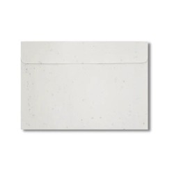 Set de 5 enveloppes plantable C5 220x155  mm