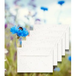 Set de 5 enveloppes plantable C6 162x114 mm