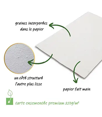 Infographic Carte Ensemencee 250g